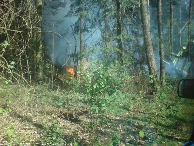 1. Waldbrand so früh wie nie – Brennendes Waldstück im Rüenberger Wald