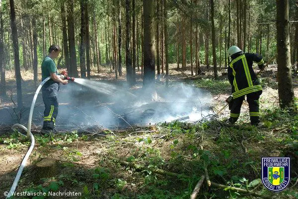 Erste Waldbrände dieses Jahres – Unterholz brannte