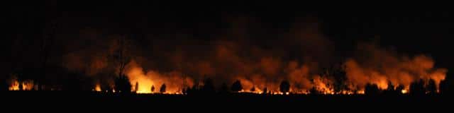 Amtsvenn: Großbrand – über 300 Hektar Moorgebiet vernichtet