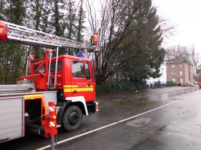 Baum drohte auf die Straße zu stürzen