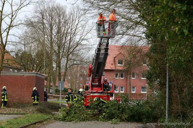 Sturmtief Niklas war verhältnismäßig gnädig