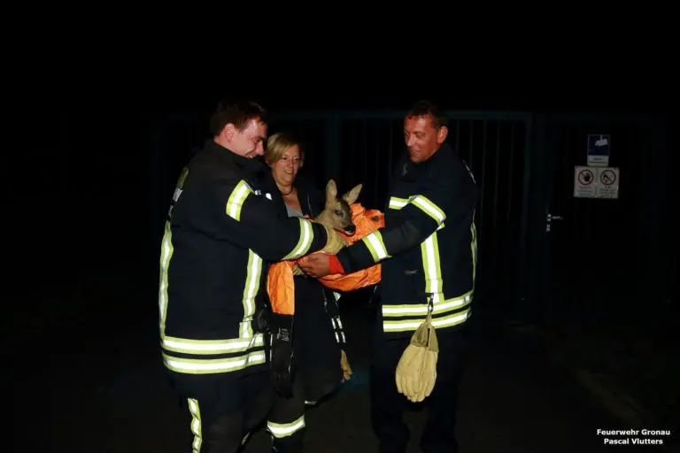 Feuerwehr rettet Rehkitz aus Notlage
