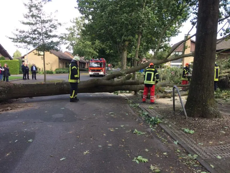 Sturm „Sebastian“ bescherte der Feuerwehr Gronau einige Einsätze