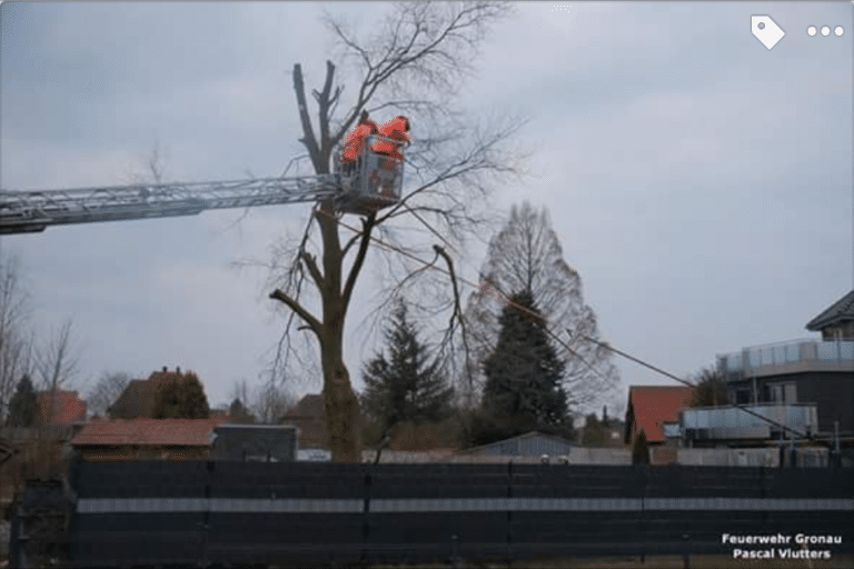 Baum drohte auf Nachbargrundstück zu fallen