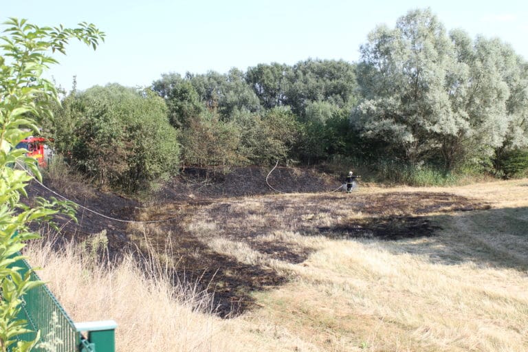Schnelles Eingreifen der Feuerwehr verhinderte größeren Flächenbrand