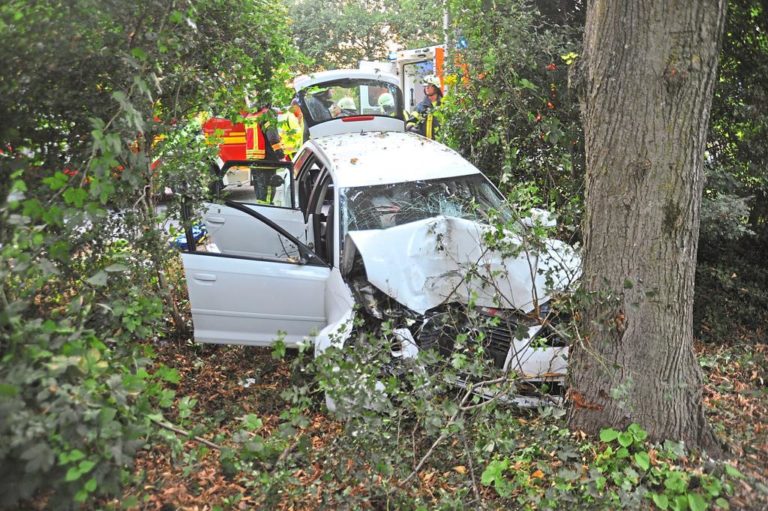 Aus dem Kreisverkehr vor den Baum