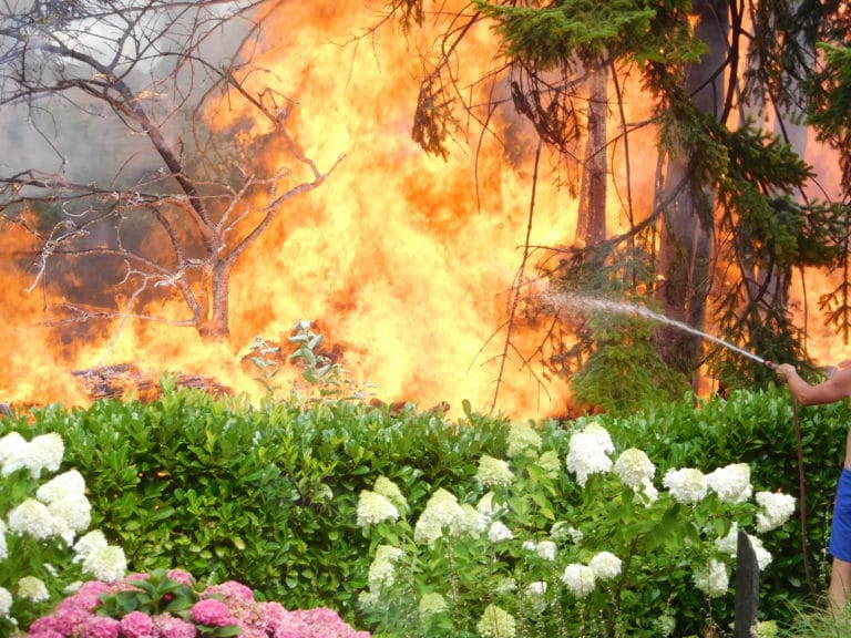 Aus “Brennt Baum” wurde Großbrand