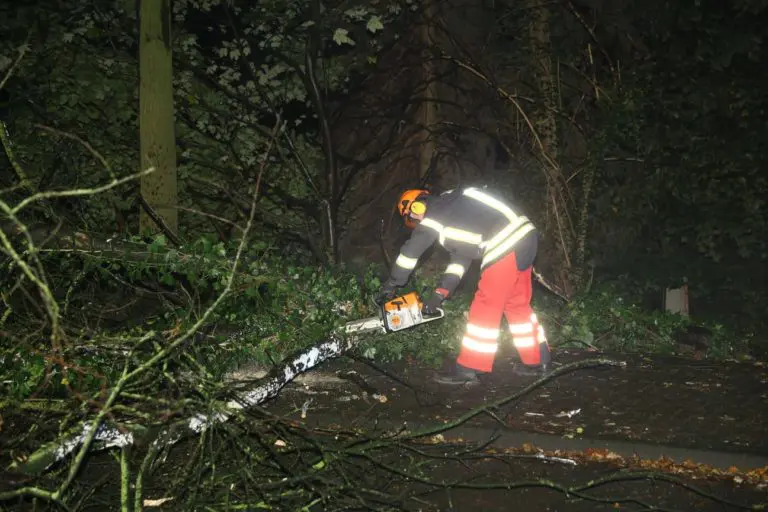 Baum lag auf der Fahrbahn