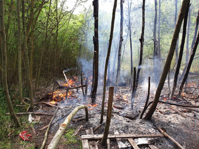 Waldfläche in Brand gesetzt
