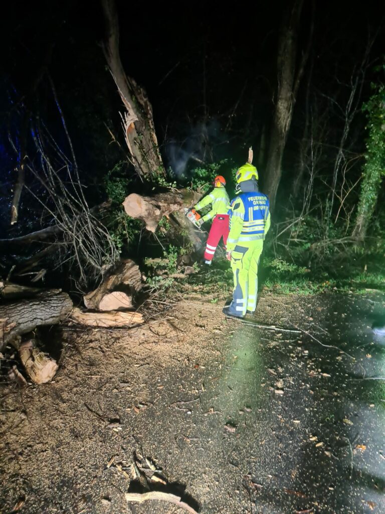 Umgestürzter Baum versperrte den Amelandsweg