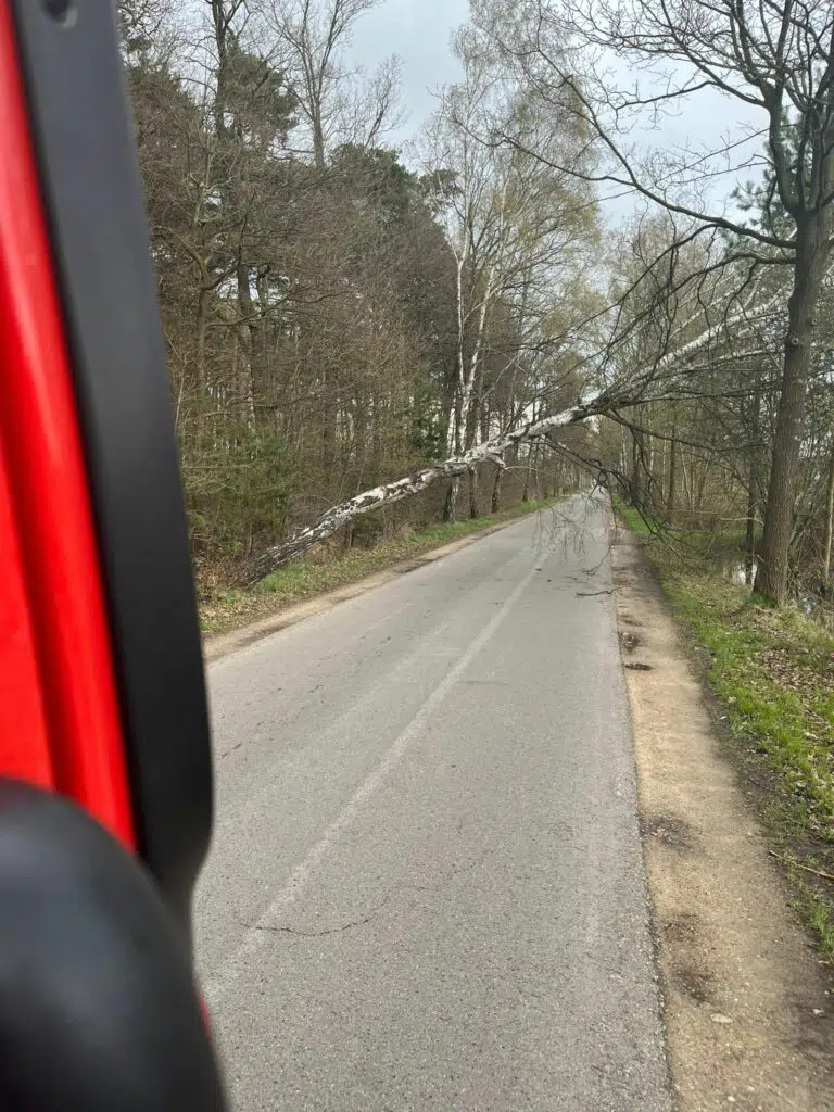 Stürmige Böen ließen Baum auf die Kaiserstiege stürzen